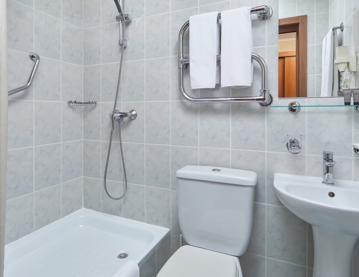 Стандартный номер с двуспальной кроватью (корпус 2) - Парк-отель ZVENIGOROD / Звенигород