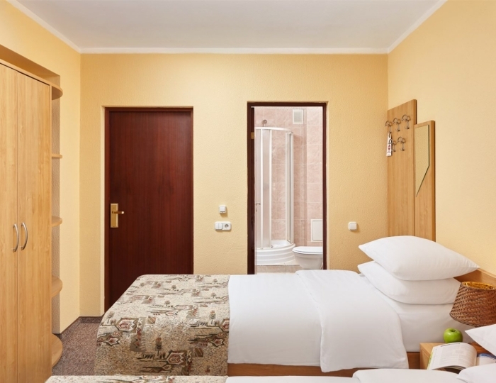 Стандартный номер с двумя кроватями (корпус 3) - Парк-отель ZVENIGOROD / Звенигород