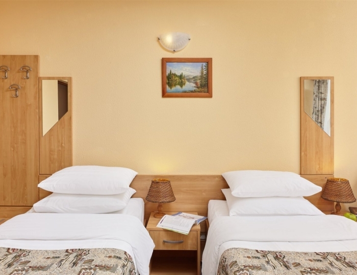 Стандартный номер с двумя кроватями (корпус 3) - Парк-отель ZVENIGOROD / Звенигород