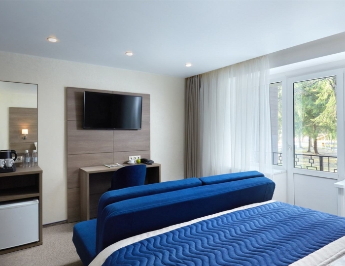 Улучшенный стандартный номер (корпус 4) - Парк-отель ZVENIGOROD / Звенигород